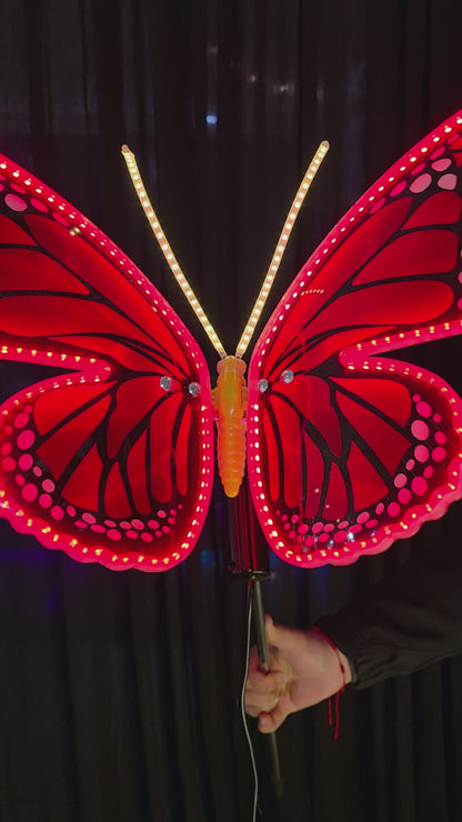 Motion Butterfly, Red
