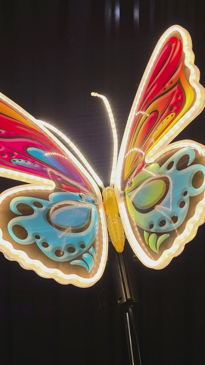 Motion Butterfly, Multi-Color